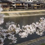 京都　春の鴨川